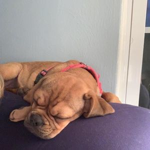 Meet your Posher, Coralee